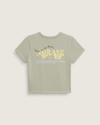 Soft Sage Green