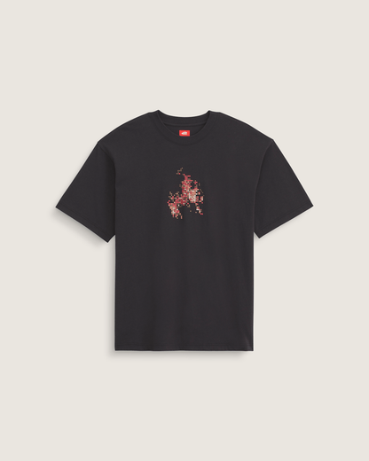 Vans Skate Flame T-Shirt in Black